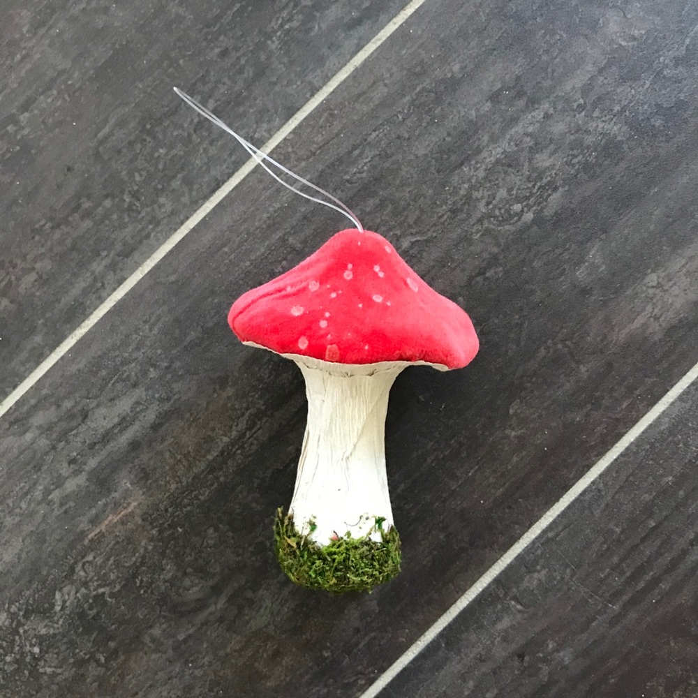 **SOLD**Mushrooms Decor & Ornaments 🍄 - Picture 5 of 7